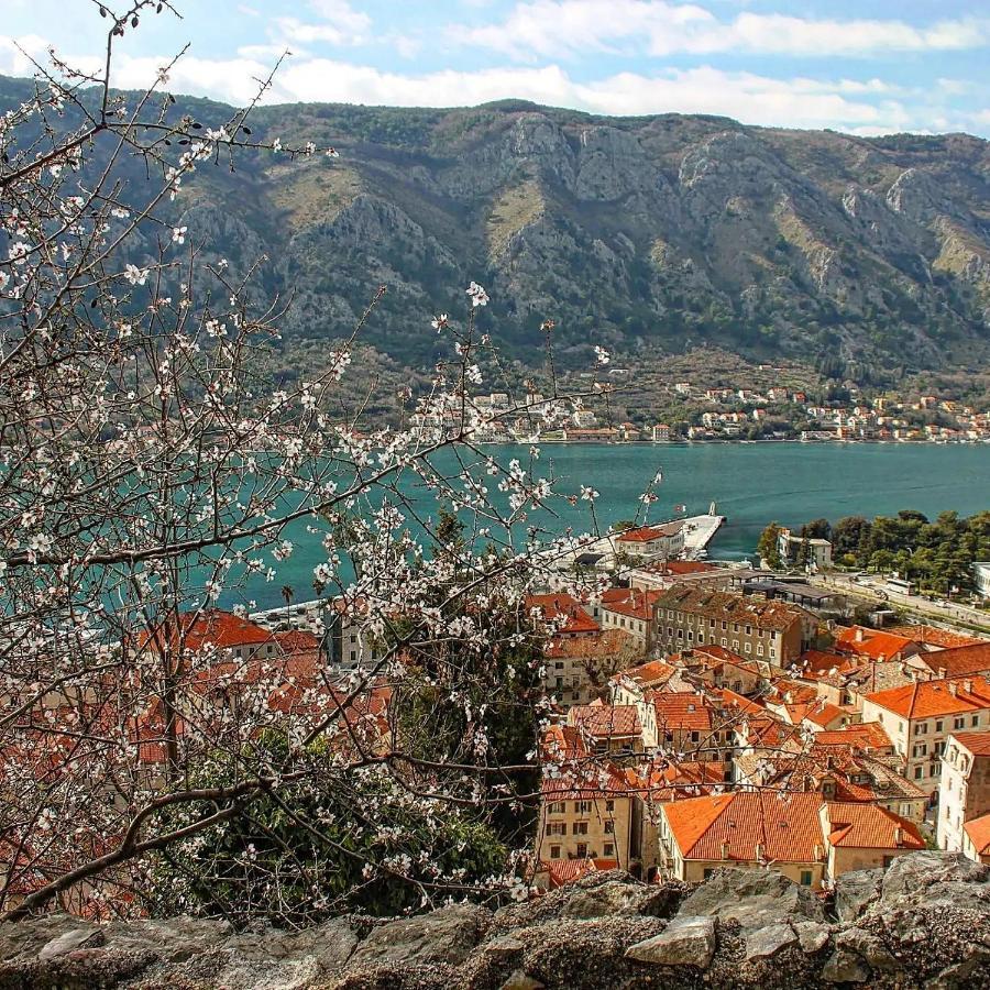 Old Town Kotor Square Appartement Buitenkant foto